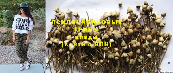 мескалин Кодинск