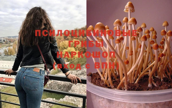 не бодяженный Кинешма
